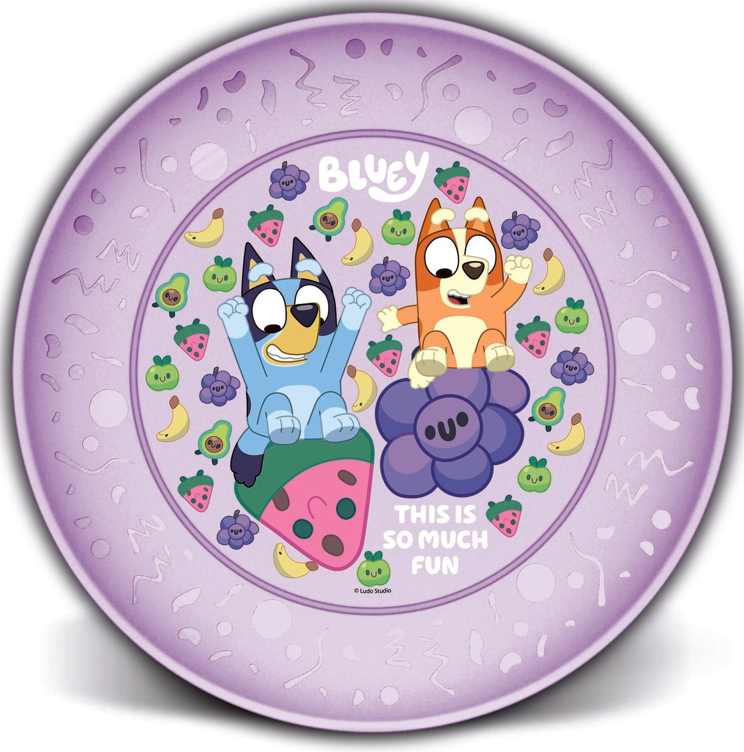 Bluey Party Plate