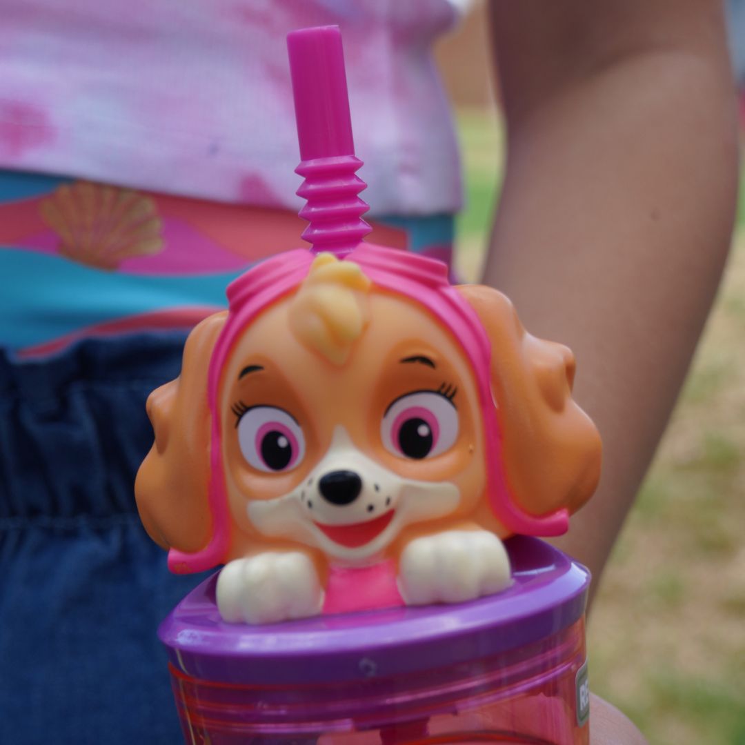 Paw Patrol Skye-3D Figurine Tumbler-360ml
