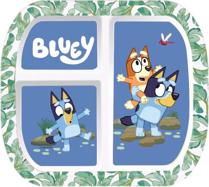 Rectangular Divided Plate-Bluey